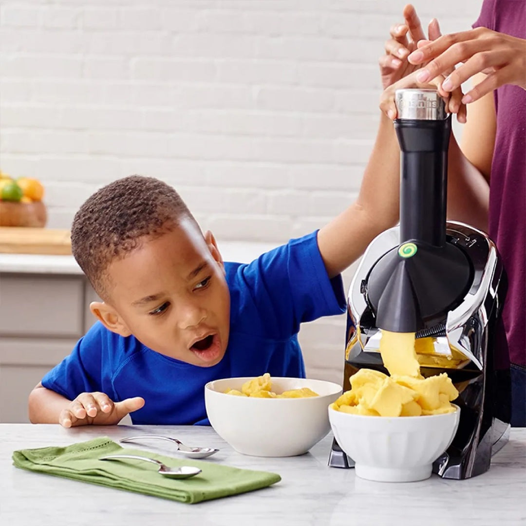 MACHINE FOR MAKING HEALTHY ARTISAN AND VEGAN FRUIT ICE CREAM - FROSTIFY® 